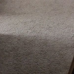 Meet your Posher, Jaime